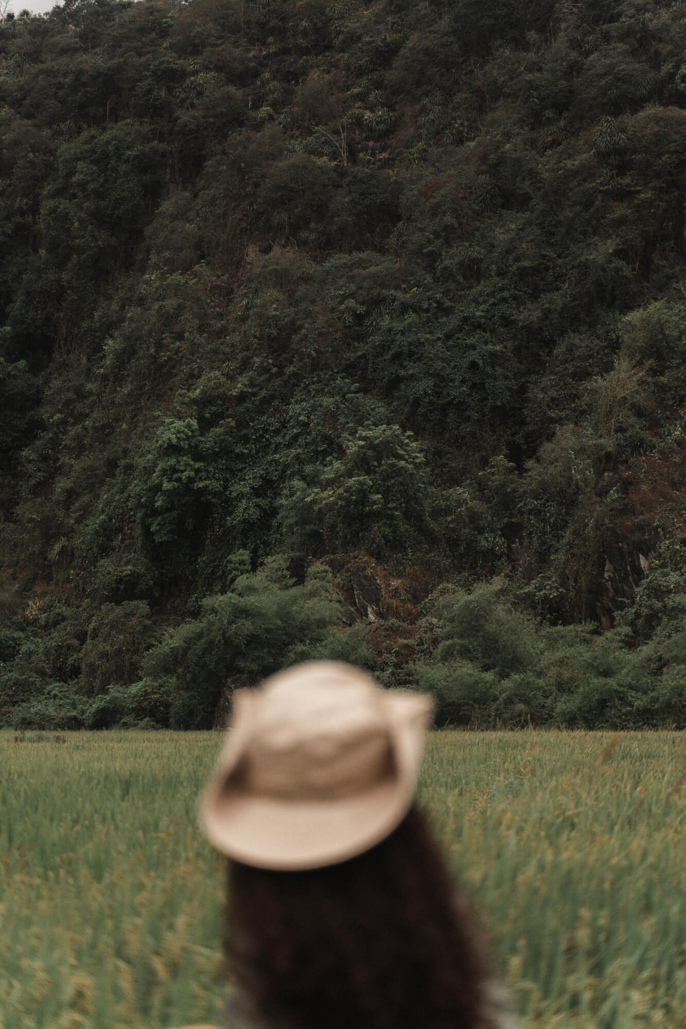 Adventure 2 - Trekking